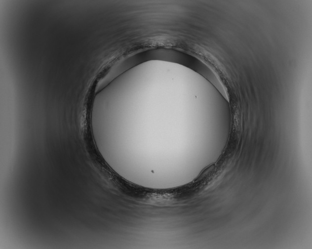 X0000094800403200712071209