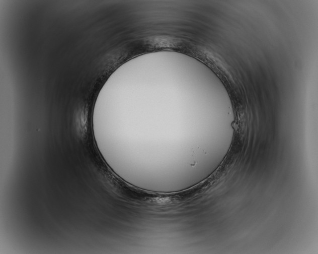 X0000094800406200712071209