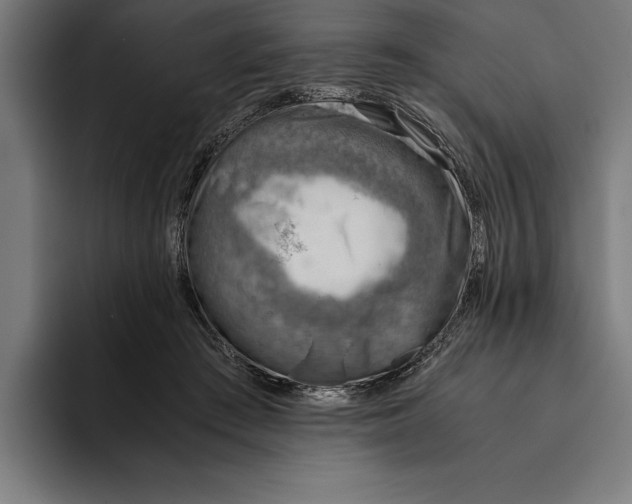 X0000094800409200712071209