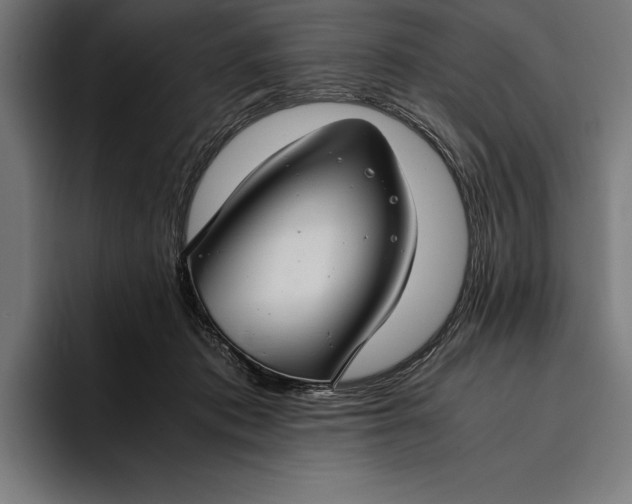 X0000094800413200712071209