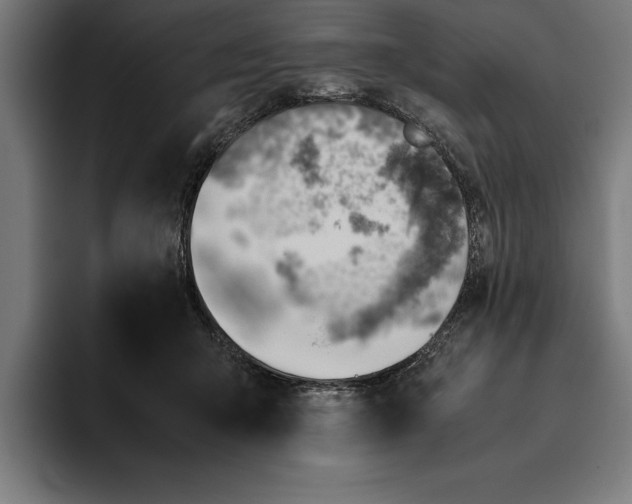 X0000094800415200712071209