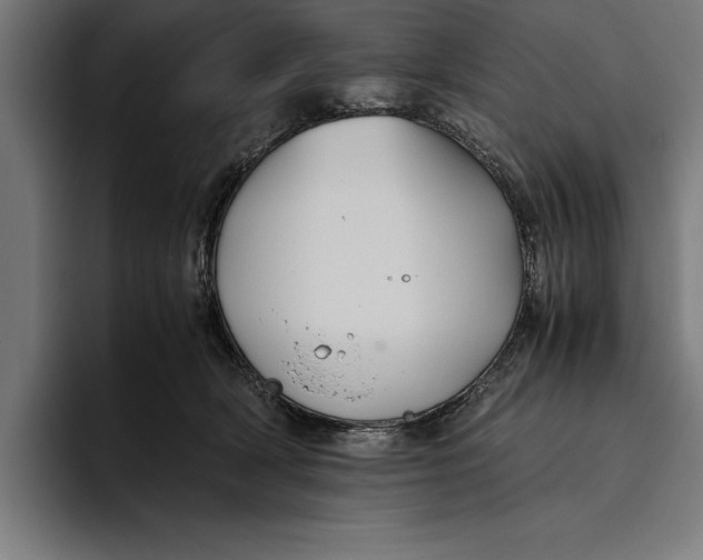 X0000094800418200712071209