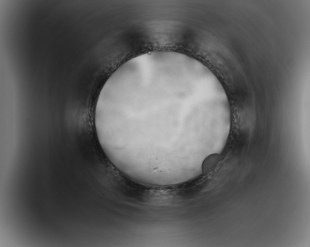 X0000094800419200712071209