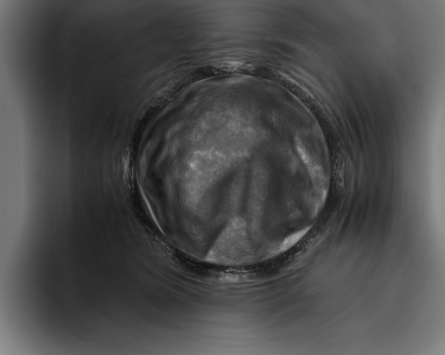 X0000094800420200712071209