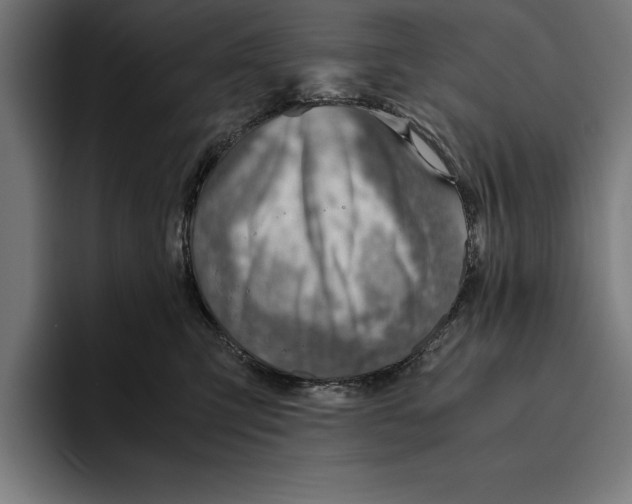 X0000094800423200712071209