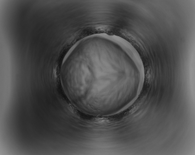 X0000094800424200712071209