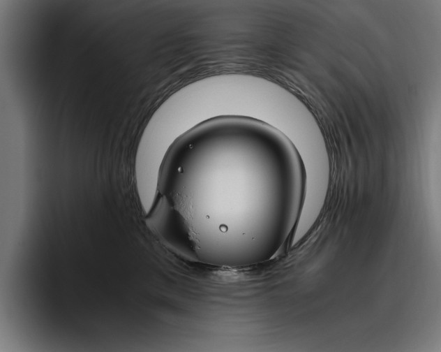 X0000094800425200712071209