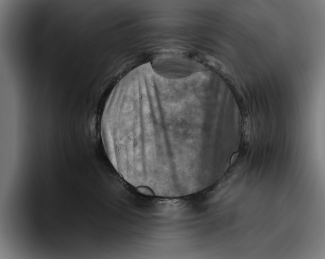 X0000094800428200712071209