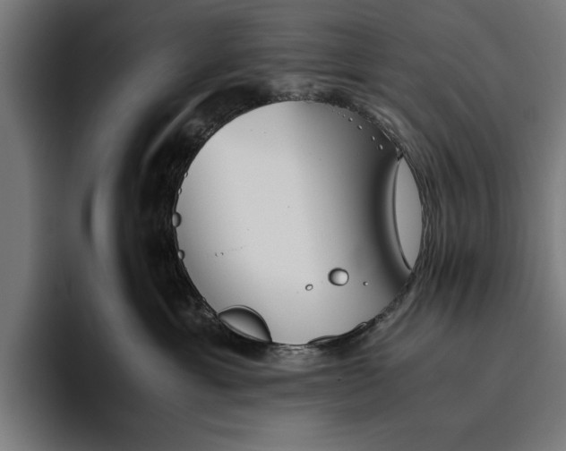 X0000094800429200712071209