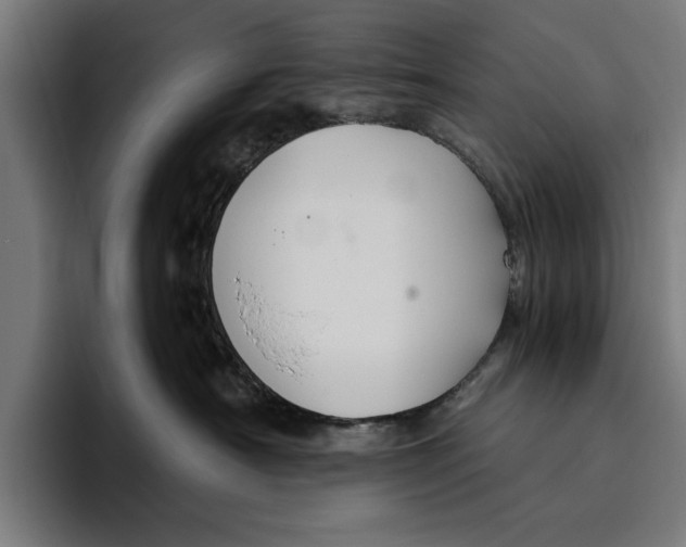 X0000094800430200712071209