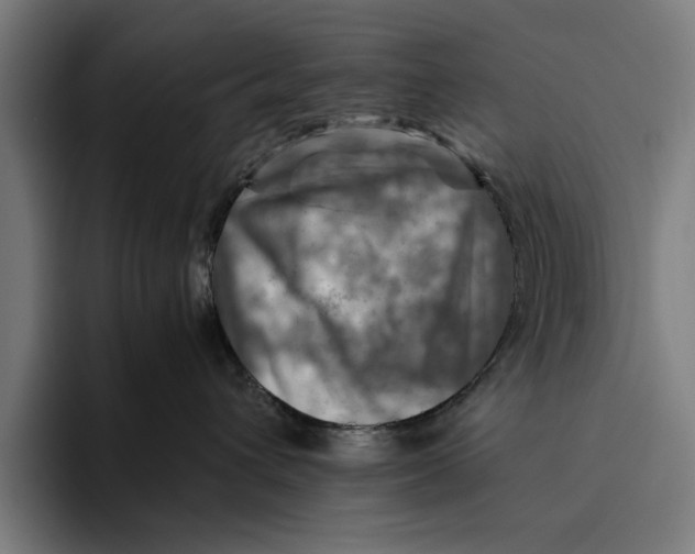 X0000094800432200712071209