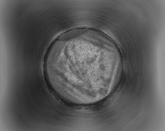 X0000094800434200712071208