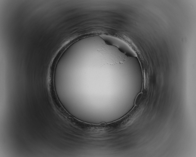 X0000094800435200712071208