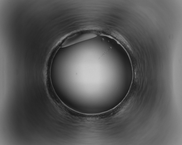 X0000094800436200712071208