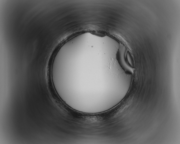 X0000094800439200712071208