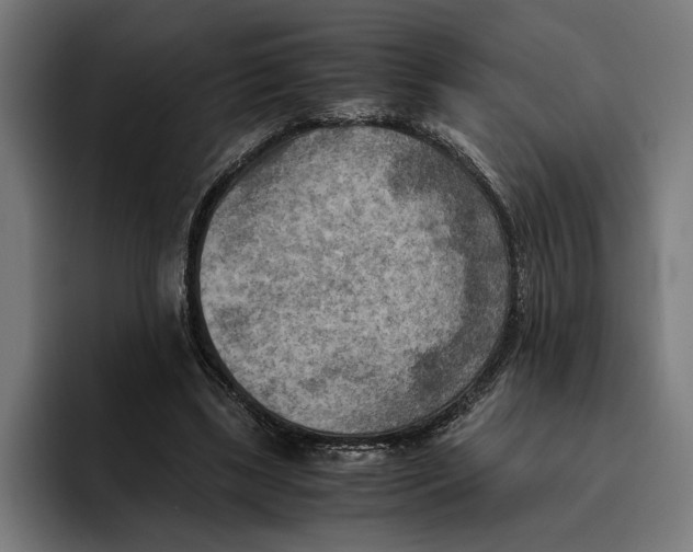 X0000094800443200712071208