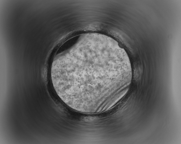 X0000094800444200712071208