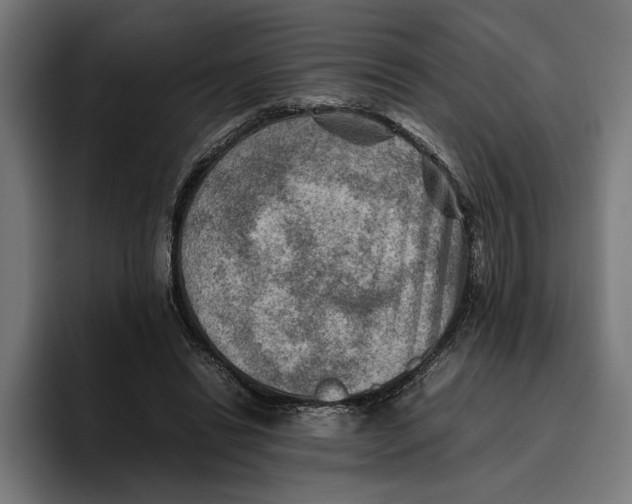 X0000094800446200712071208