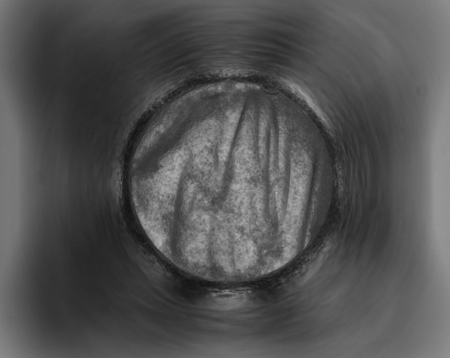 X0000094800447200712071208