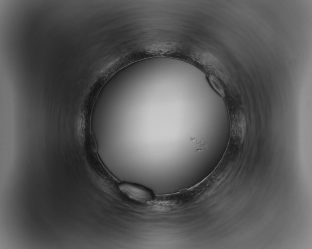 X0000094800448200712071208