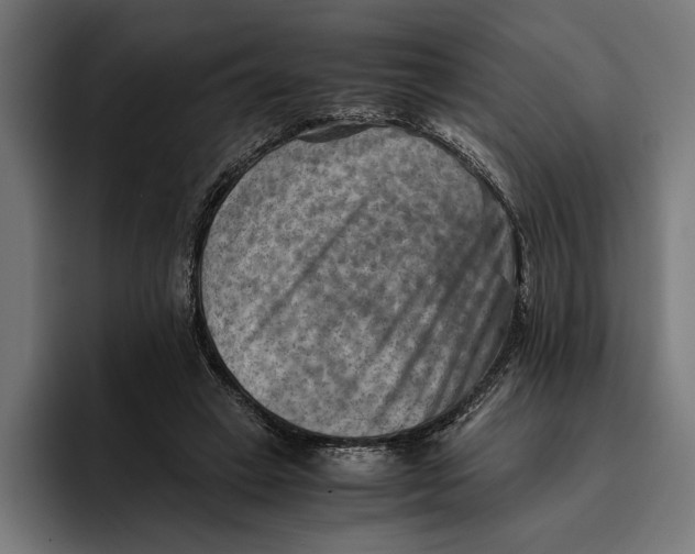 X0000094800449200712071208