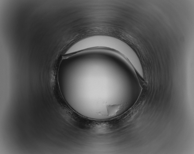 X0000094800456200712071209