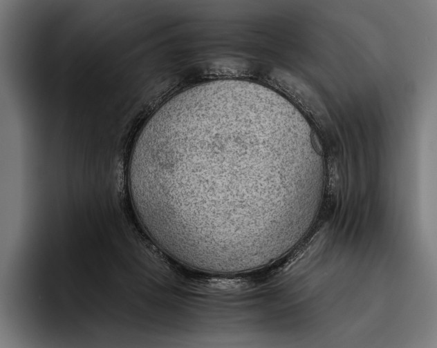 X0000094800457200712071209