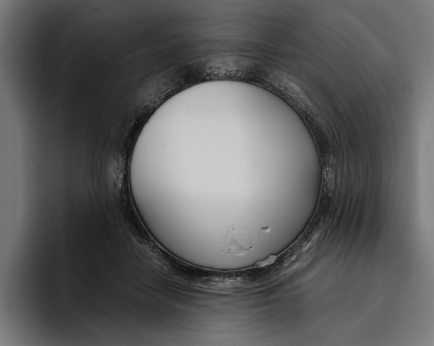 X0000094800458200712071209