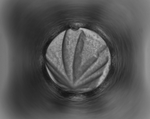 X0000094800459200712071209