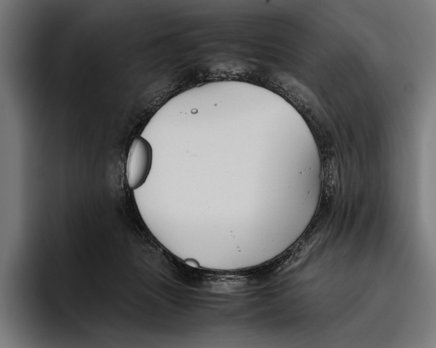 X0000094800463200712071209