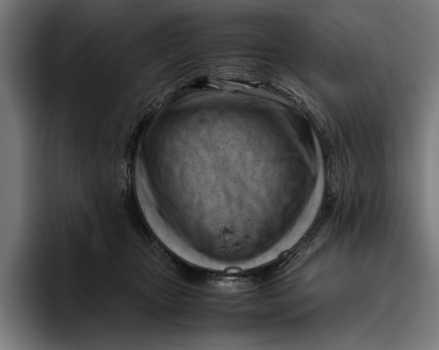 X0000094800467200712071209