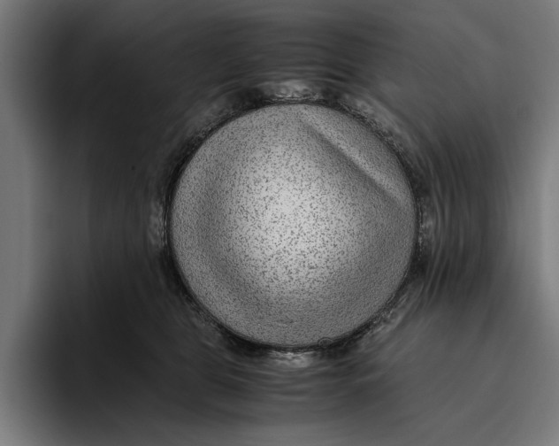 X0000094800469200712071209