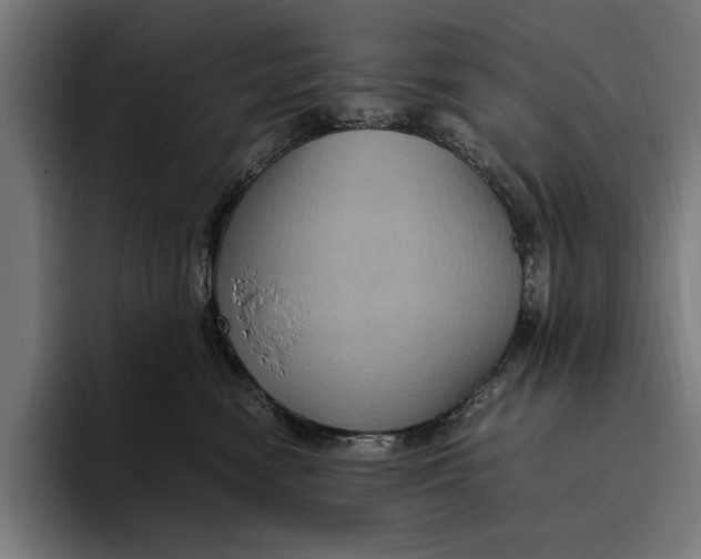 X0000094800474200712071209