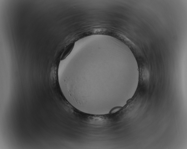 X0000094800475200712071209