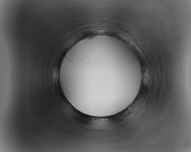 X0000094800476200712071209