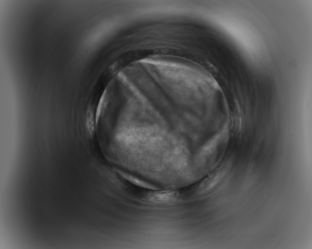 X0000094800479200712071209