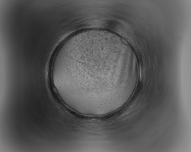 X0000094800483200712071208