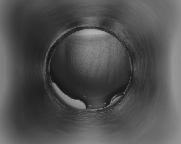 X0000094800484200712071208