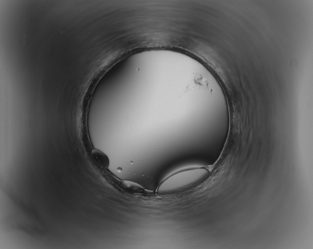 X0000094800485200712071208