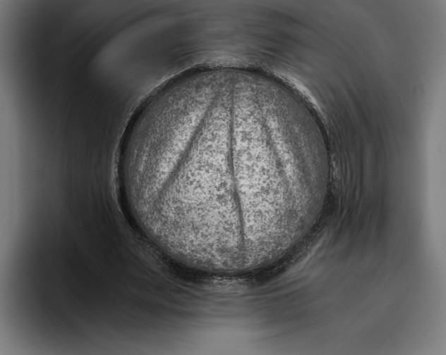 X0000094800487200712071208