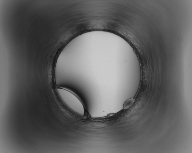 X0000094800489200712071208