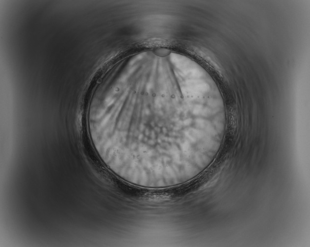 X0000094800491200712071208