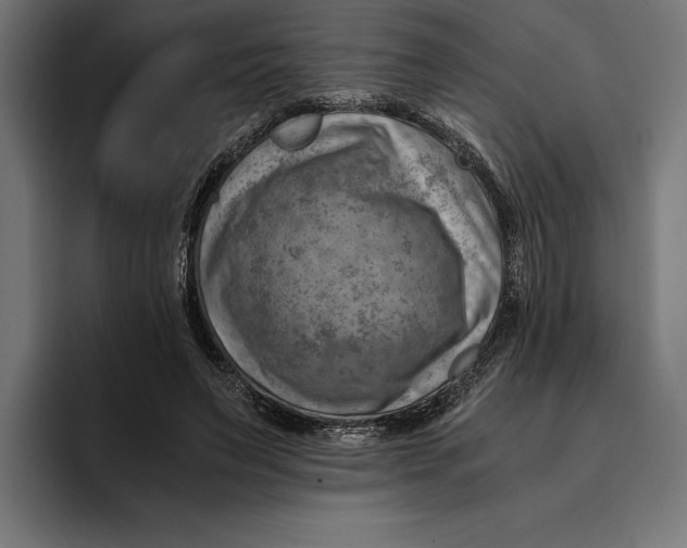 X0000094800495200712071208