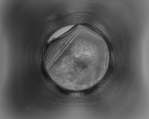 X0000094800499200712071208