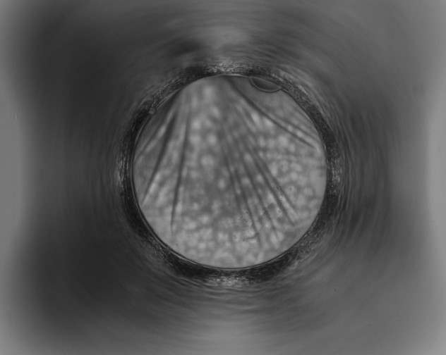 X0000094800503200712071208