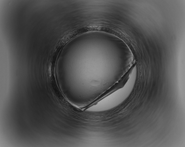 X0000094800504200712071208