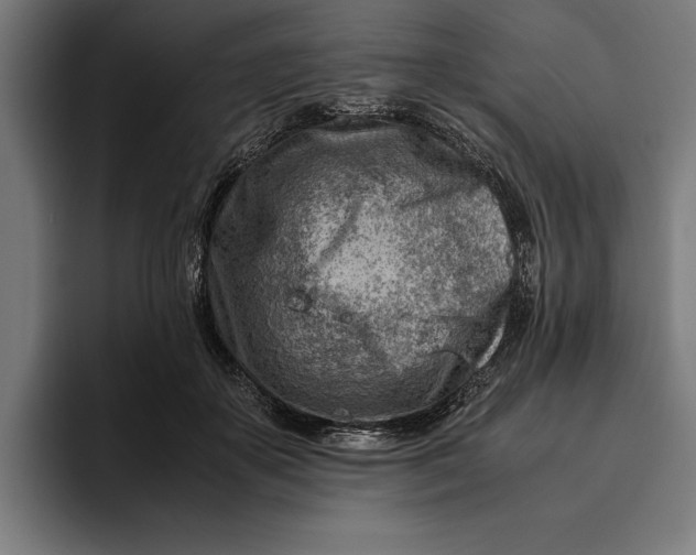 X0000094800507200712071208