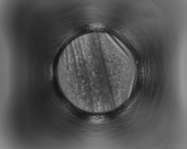 X0000094800508200712071208