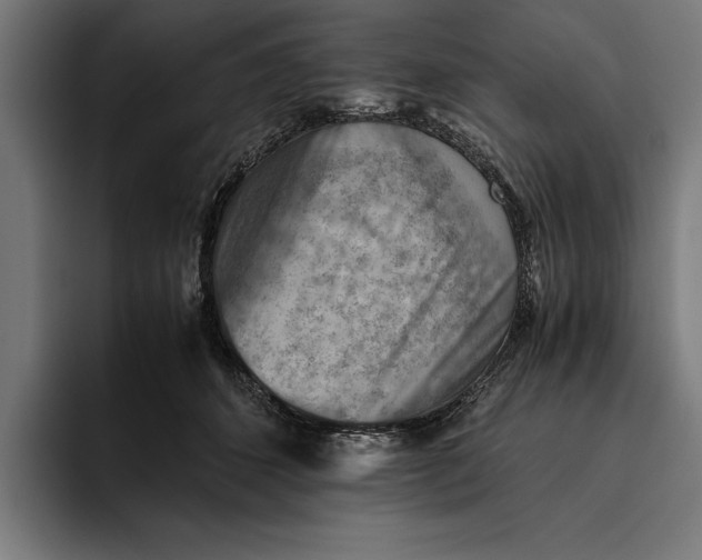 X0000094800512200712071208