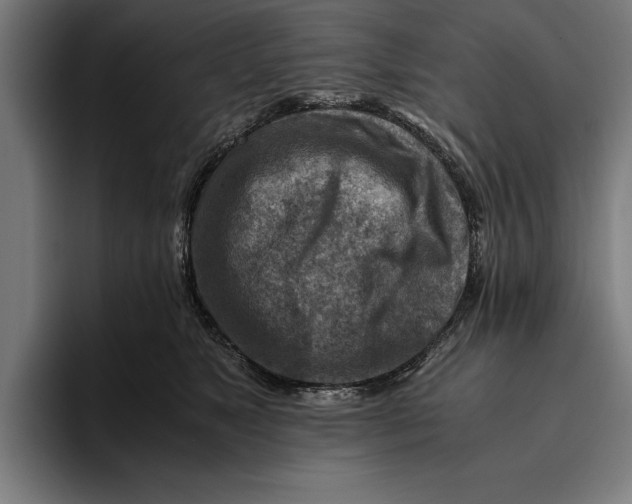 X0000094800517200712071208